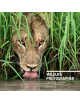 Wildlife Photographer of the Year: Portfolio 28 - 9780565094287-thumb