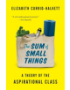 The Sum of Small Things - 9780691183176-thumb