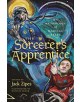 The Sorcerer's Apprentice - 9780691191423-thumb