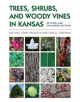 Trees, Shrubs, and Woody Vines in Kansas - 9780700627684-thumb