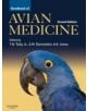 Handbook of Avian Medicine - 9780702028748-thumb