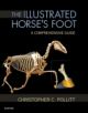 The Illustrated Horse's Foot - 9780702046551-thumb