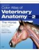 Color Atlas of Veterinary Anatomy, Volume 2, The Horse - 9780702052293-thumb