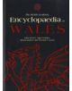 The Welsh Academy Encyclopaedia of Wales - 9780708319536-thumb