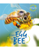 Lifecycles: Egg to Bee - 9780711241022-thumb