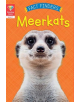 Reading Gems Fact Finders: Meerkats (Level 1) - 9780711243774-thumb