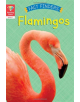 Reading Gems Fact Finders: Flamingos (Level 1) - 9780711243811-thumb