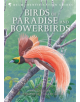 Birds of Paradise and Bowerbirds - 9780713660272-thumb