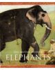 Elephants - 9780714150758-thumb