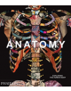 Anatomy: Exploring the Human Body - 9780714879888-thumb