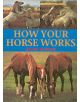 How Your Horse Works - 9780715313701-thumb