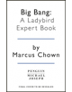 Big Bang: A Ladybird Expert Book - 9780718187842-thumb