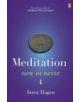 Meditation Now or Never - 9780718193041-thumb