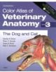 Color Atlas of Veterinary Anatomy, Volume 3, The Dog and Cat - 9780723434153-thumb