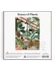 Пъзел Galison: House of Plants, 1000 части - Galison - Galison Publishing LLC - 9780735371910-4-thumb