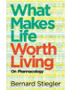 What Makes Life Worth Living - 9780745662718-thumb