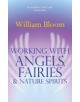 Working With Angels, Fairies And Nature Spirits - 9780749941161-thumb