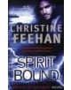 Spirit Bound - 9780749954741-thumb