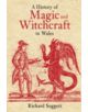 A History of Magic and Witchcraft in Wales - 9780752428260-thumb