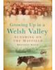 Growing Up in a Welsh Valley: Sunshine on the Mayfield - 9780752447568-thumb