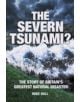 The Severn Tsunami? - 9780752470153-thumb