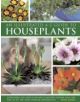 An Illustrated A-Z Guide to Houseplants - 9780754817055-thumb