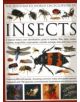 The Illustrated World Encyclopaedia of Insects - 9780754819097-thumb