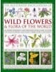 Illustrated Encyclopedia of Wild Flowers & Flora of the World - 9780754819721-thumb