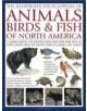 Illustrated Encyclopedia of Animals, Birds and Fish of North America - 9780754819875-thumb