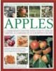 Illustrated World Encyclopedia of Apples - 9780754820666-thumb