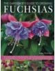 Gardener's Guide to Growing Fuchsias - 9780754823445-thumb