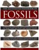 Illustrated Handbook of Fossils - 9780754829591-thumb