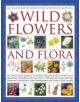 Illustrated Identifier and Encyclopedia: Wild Flowers and Flora - 9780754830290-thumb