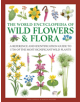 Wild Flowers & Flora, The World Encyclopedia of - 9780754833604-thumb