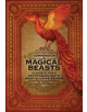 The Compendium of Magical Beasts - 9780762464654-thumb