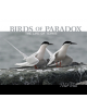 Birds of Paradox: The Life of Terns - 9780764357640-thumb