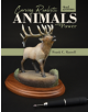 Carving Realistic Animals with Power, 2nd Edition - 9780764358722-thumb