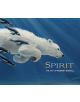 Spirit the Art of Robert Bissell - 9780764984310-thumb