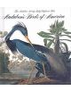 Audubon's Birds Of America - 9780789208149-thumb