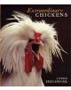 Extraordinary Chickens - 9780810990654-thumb