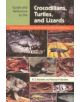 Guide and Reference to the Crocodilians, Turtles, and Lizards of Eastern and Central North America (North of Mexico) - 978081-thumb