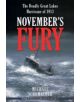 November's Fury - 9780816687206-thumb