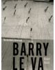 Barry Le Va - 9780816694686-thumb