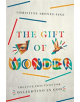 The Gift of Wonder - 9780830846535-thumb