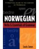 Norwegian Verbs And Essentials of Grammar - 9780844285962-thumb