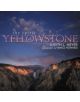 The Spirit of Yellowstone - 9780847682485-thumb