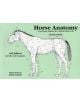 Horse Anatomy 2e - 9780851317694-thumb