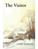 The Visitor - 9780857161758-thumb