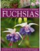 Illus Gardener's Guide to Growing Fuchsias - 9780857231857-thumb