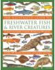 Illustrated Guide to Freshwater Fish & River Creatures - 9780857232939-thumb